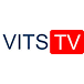 Онлайн видеотранслятор VitsTV