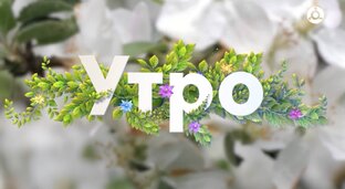 Дети говорят. Дана Бокова (выпуск 2)