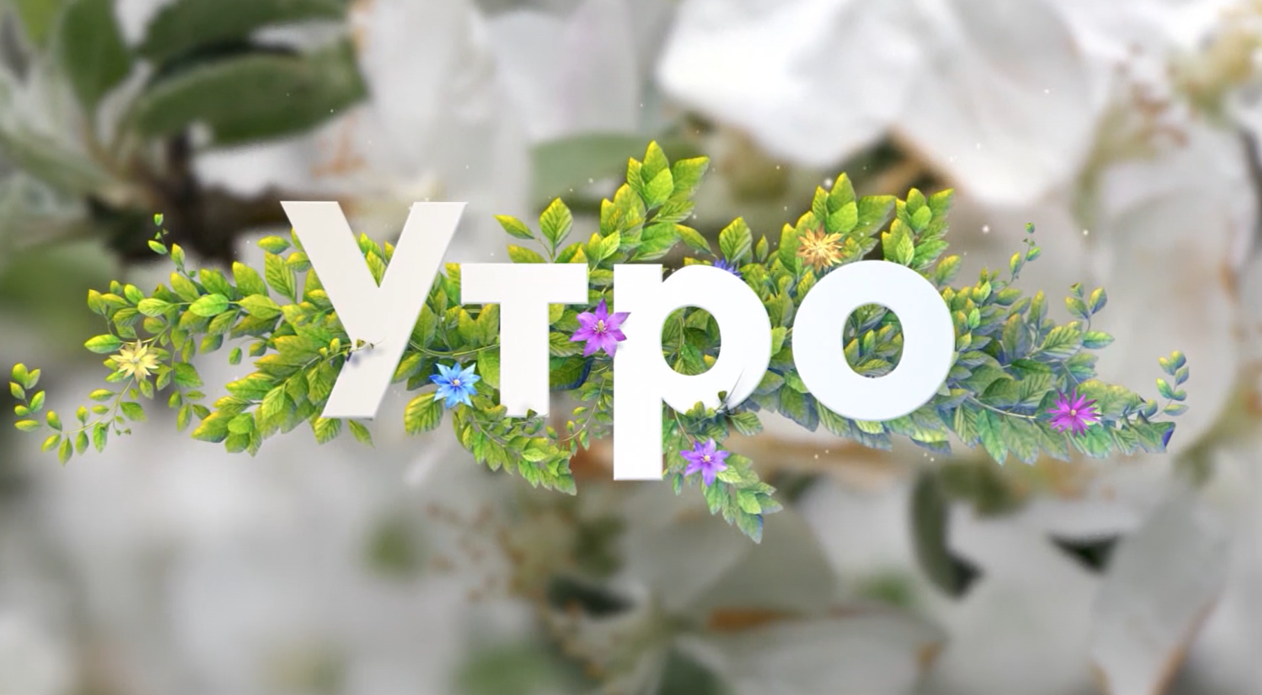 Утро
