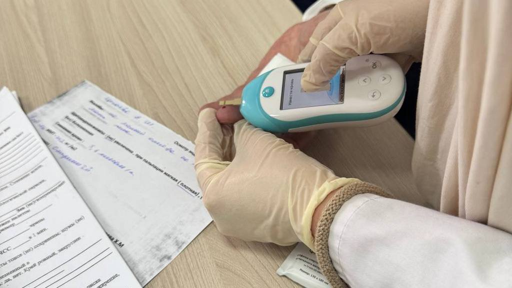 В Ингушетии развивают систему поддержки пациентов с сахарным диабетом