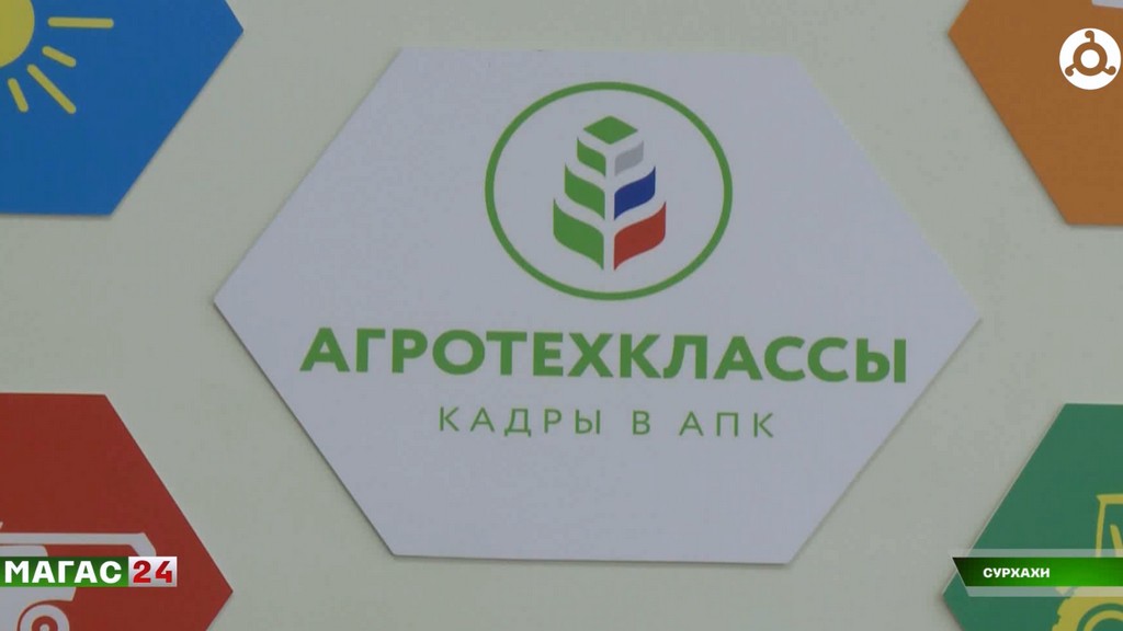 От парты до грядки: как в школе Сурхахи Ингушетии учат аграрному делу