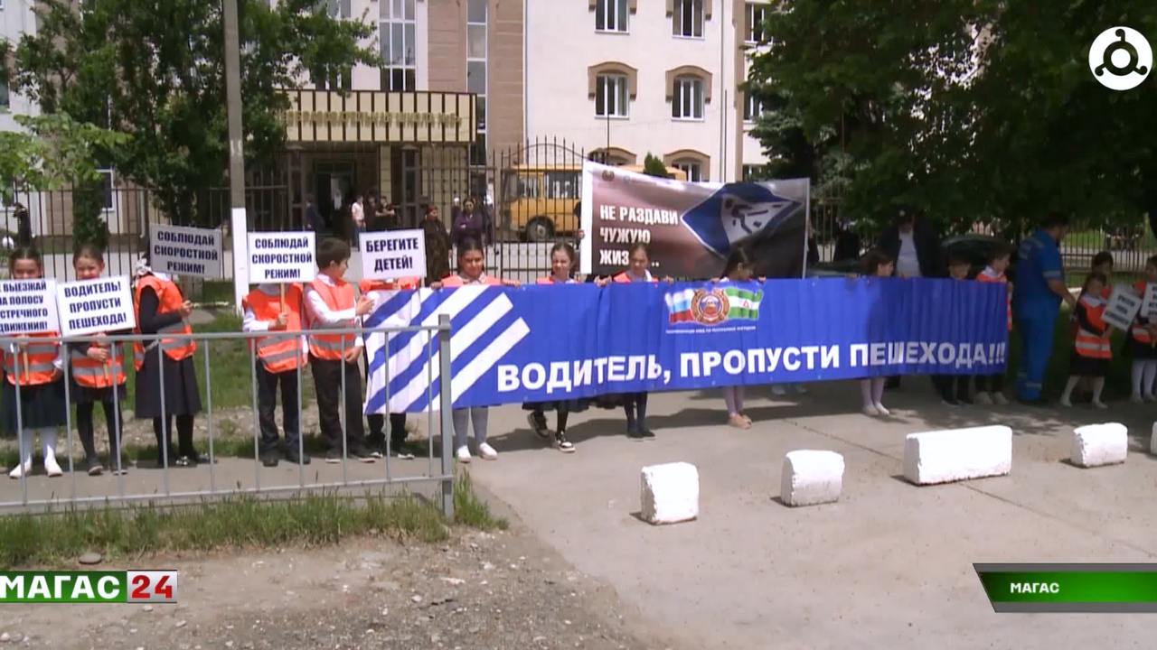 В Ингушетии запустили кампанию по безопасности пешеходов
