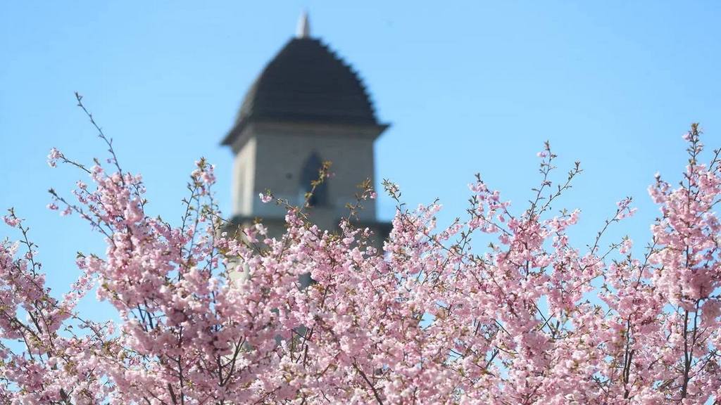 Магасу - 32 года!