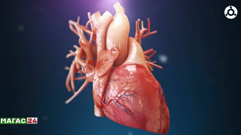 В Ингушетии проходит Неделя борьбы с сердечно-сосудистыми заболеваниями