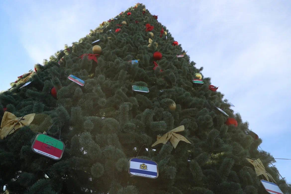 Главная новогодняя ёлка Ингушетии стала символом общероссийского единства