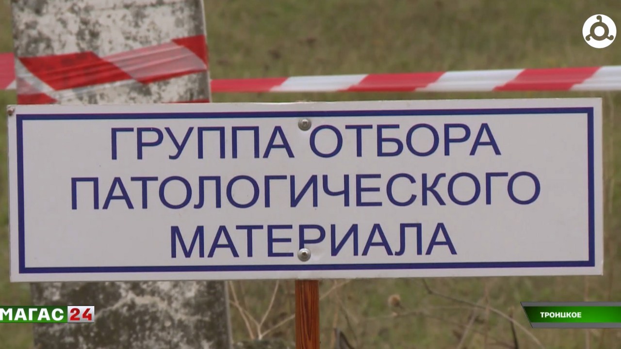 В Ингушетии прошли межрегиональные учения по локализации и ликвидации ящура