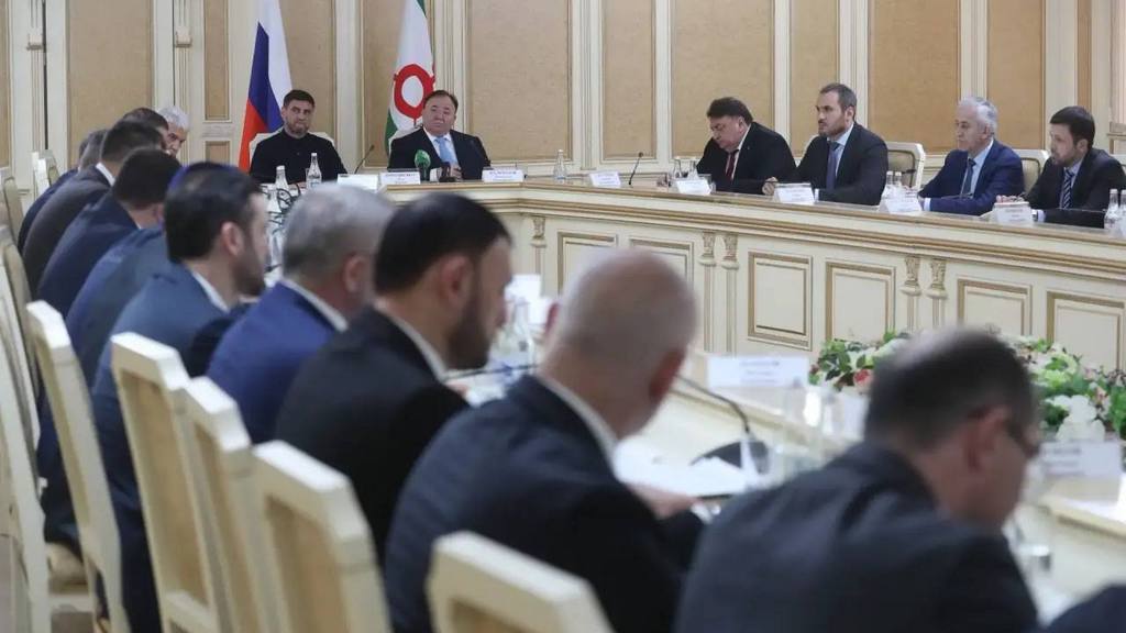 Глава Ингушетии и замминистра энергетики России обсудили будущее энергосистемы региона