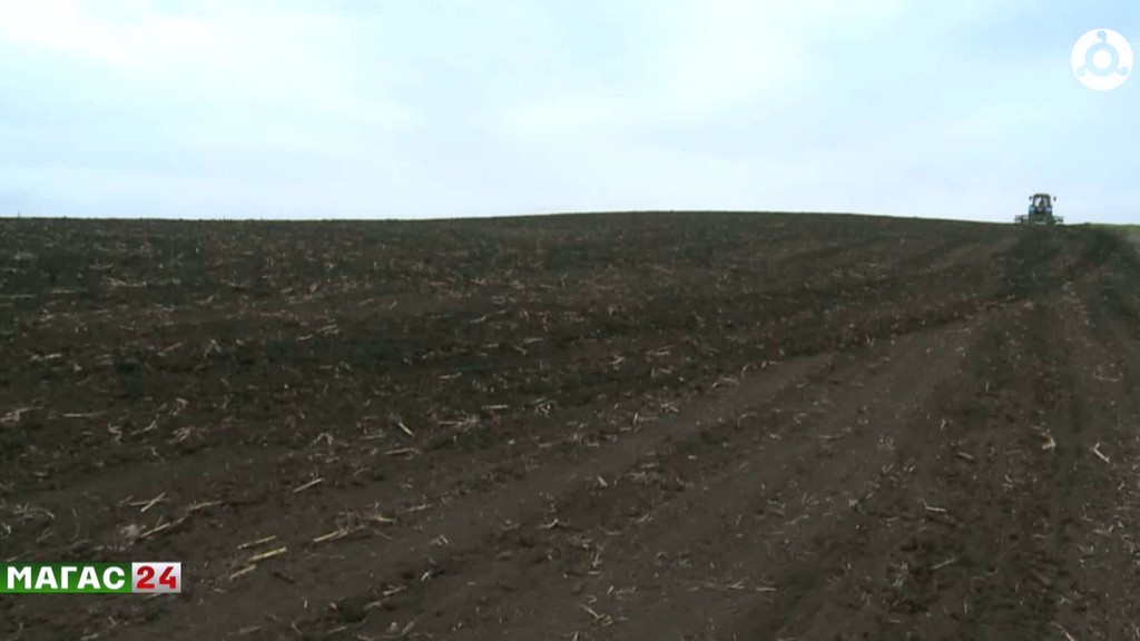 В Ингушетии стартовала весенняя посевная кампания