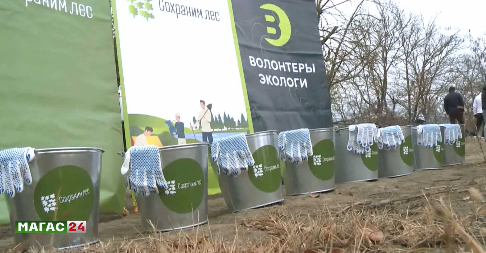 В Ингушетии в 2026 году восстановят 140 гектаров леса