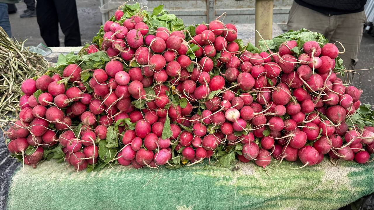 В селении Зязиков-Юрт Ингушетии прошла сельскохозяйственная ярмарка