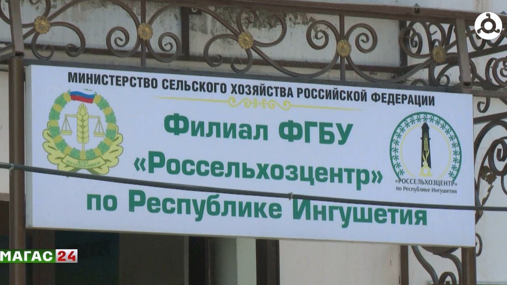 Ингушский филиал Россельхозцентра выполнил госзадания по семеноводству и защите растений на 100 %