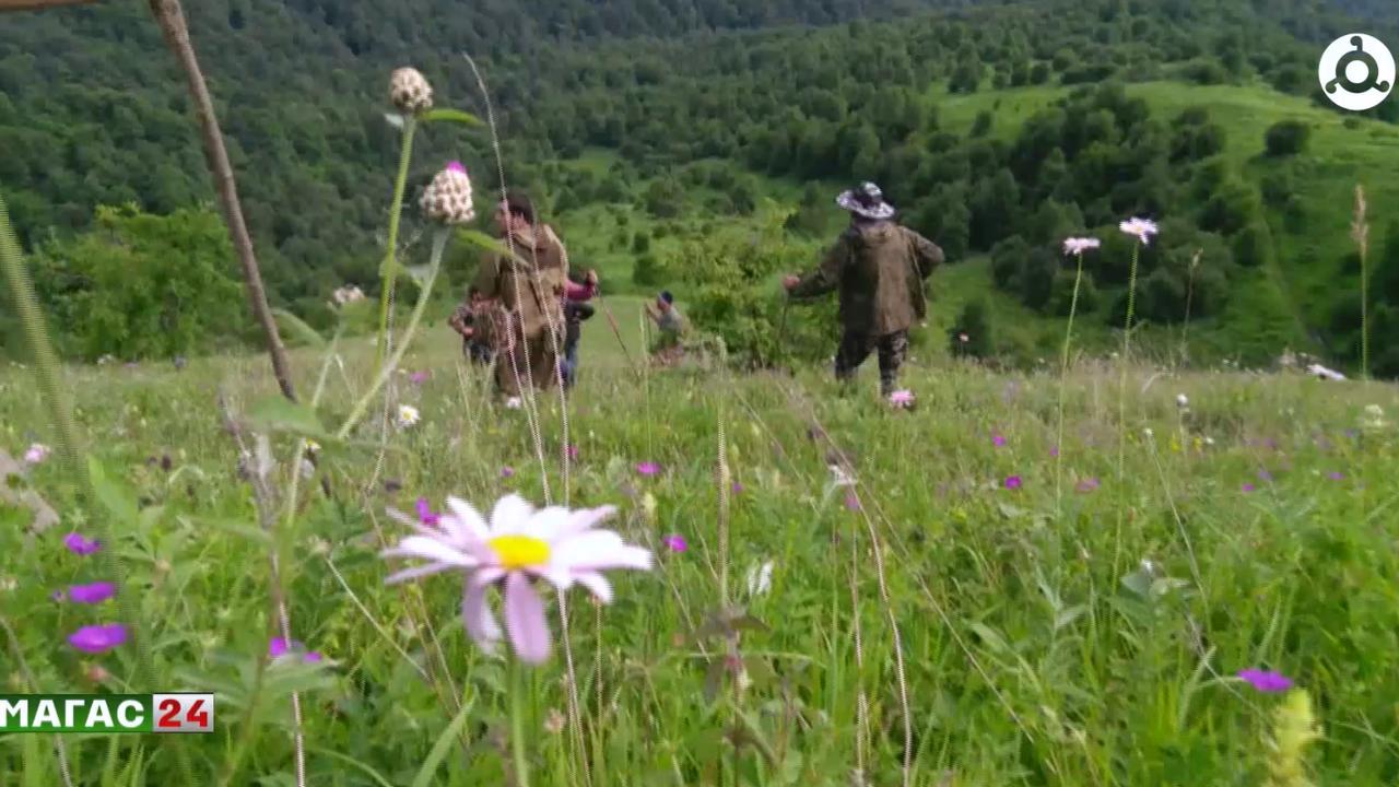 В Ингушетии пройдёт международный блог-тур "Открой Ингушетию"