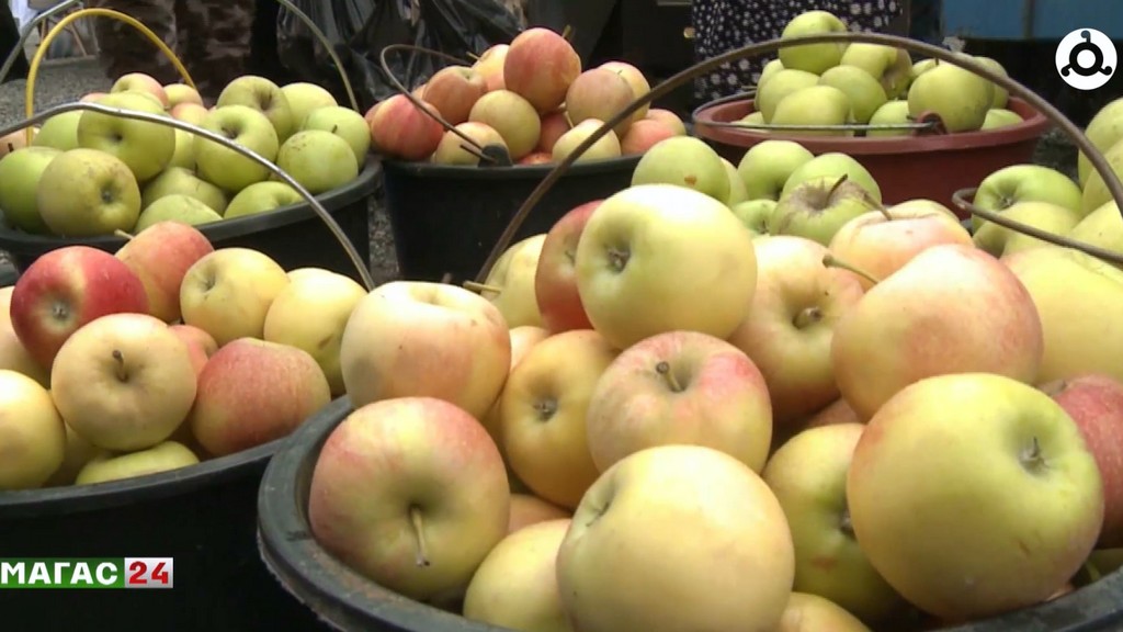 В Ингушетии состоится сельскохозяйственная ярмарка