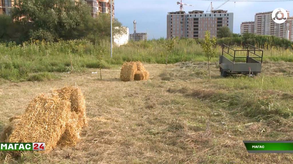 В Ингушетии прошёл республиканский турнир косарей "Мангал говзал"