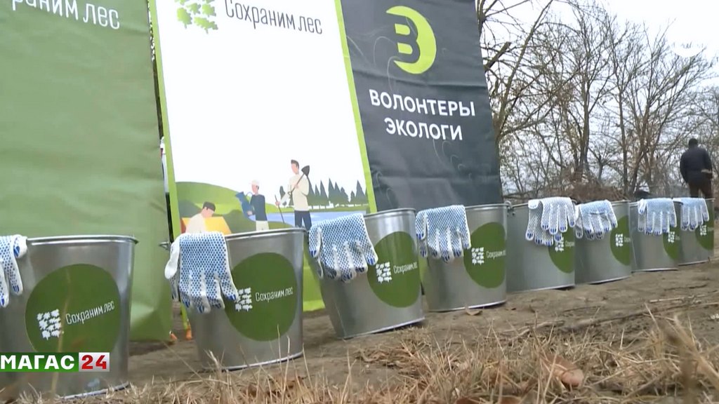 В Ингушетии прошла экологическая акция "Сохраним лес"