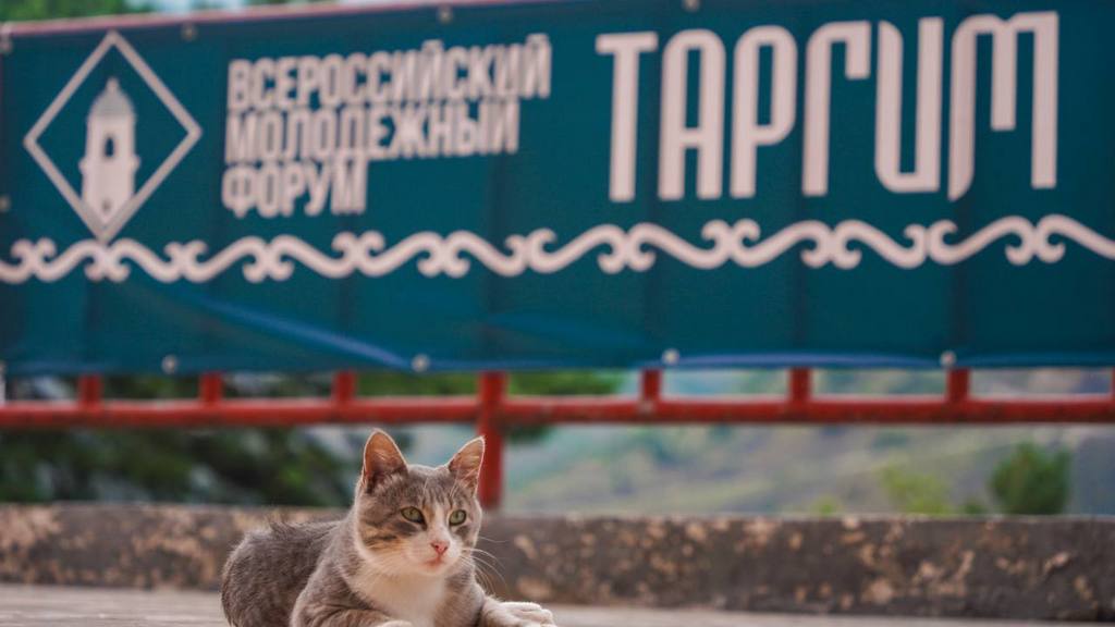 На форуме "Таргим-2026" в Ингушетии завершается третий день работы