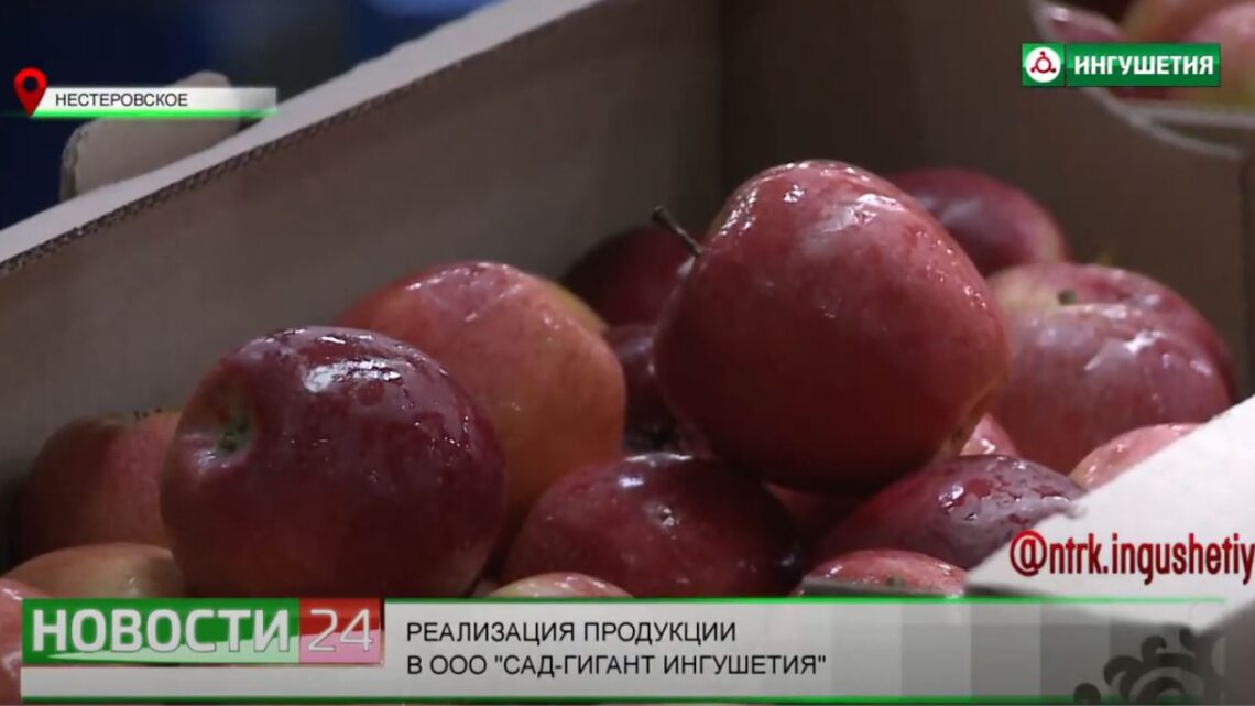 Реализация продукции в ООО “Сад – гигант Ингушетия”.