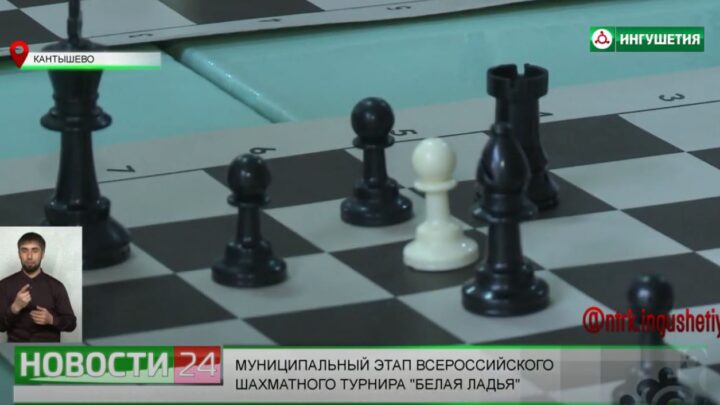 Муниципальный этап Всероссийского шахматного турнира “Белая ладья”.