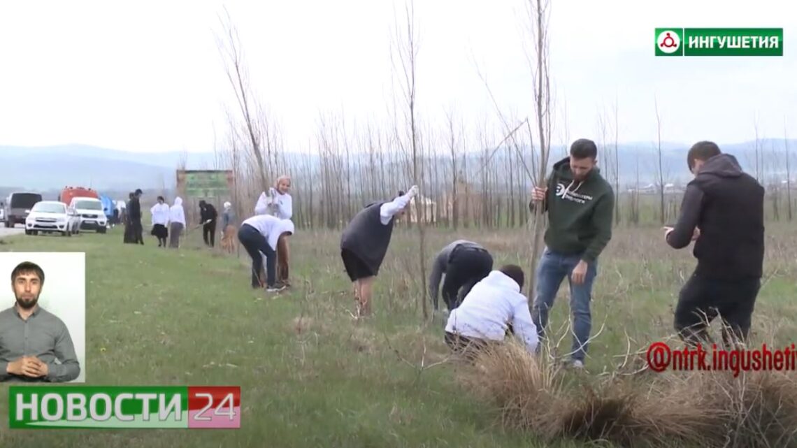 В рамках акции “Сад памяти” в Малгобеке высадили 1000 деревьев.