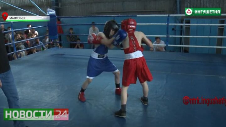 В Ингушетии открылся юношеский турнир по боксу памяти Руслана Гатагажева.