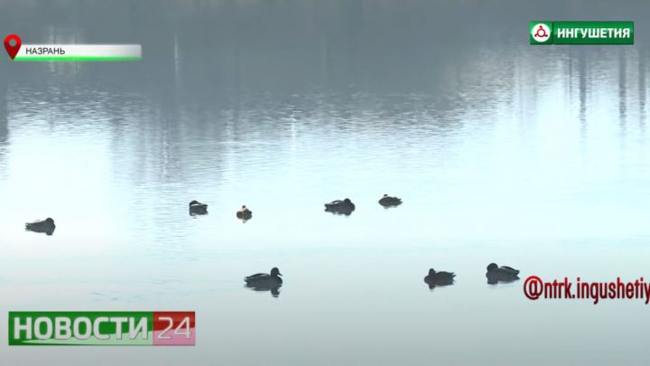 Благоустройство Назрани по программе “Формирование комфортной городской среды”