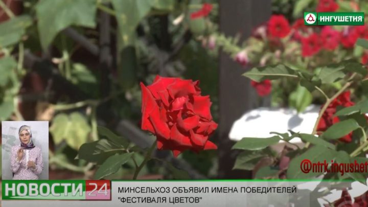 Минсельхоз объявил имена победителей республиканского конкурса “Фестиваль цветов”