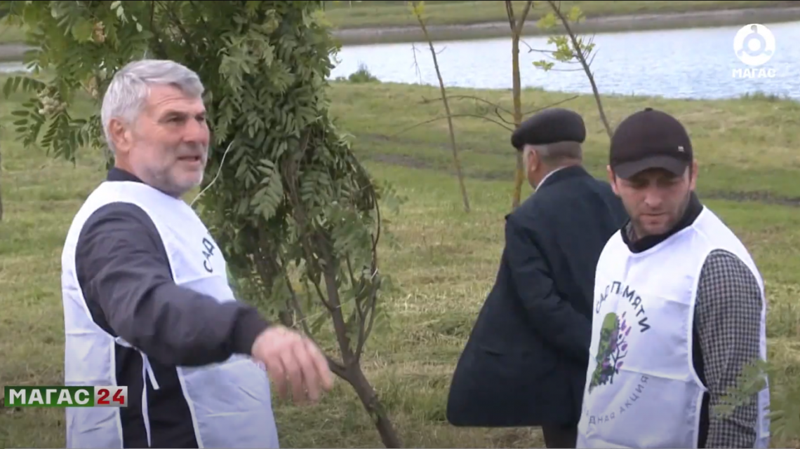 В Ингушетии в рамках Международной акции “Сад памяти” планируется высадить около 70 тысяч саженцев.