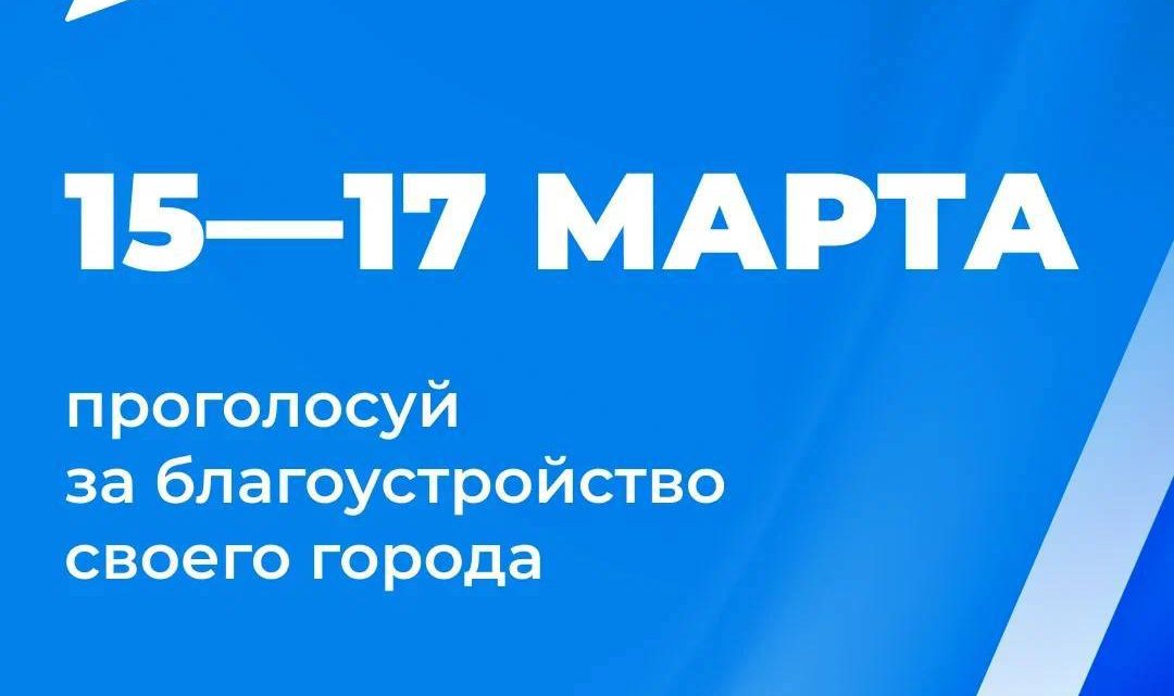 С 15 по 17 марта в Ингушетии в рамках национального проекта «Жильё и городская среда» будет проходить голосование, где все смогут выбрать объекты для благоустройства.