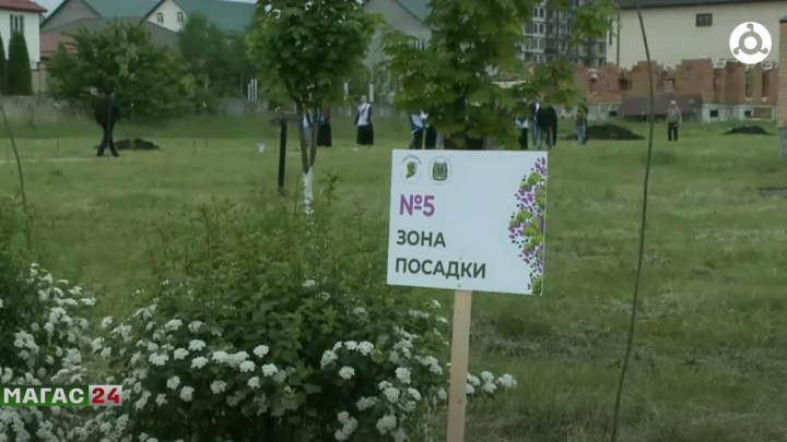 Всероссийскую акцию “Сад памяти” в 2024 году власти Ингушетии посвятят обороне Ленинграда.