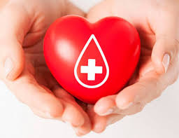 На станции переливания крови в Назрани прошла Всероссийская донорская акция “Знаю! Могу! Помогаю!”