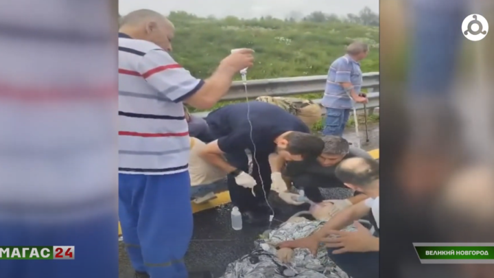 Ингушские врачи оказали медицинскую помощь пострадавшим в ДТП в Великом Новгороде.