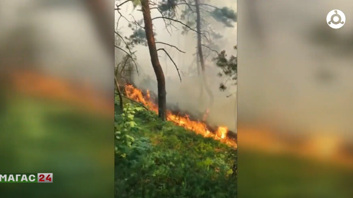 Пожар в лесном массиве Джейрахского района полностью потушили.