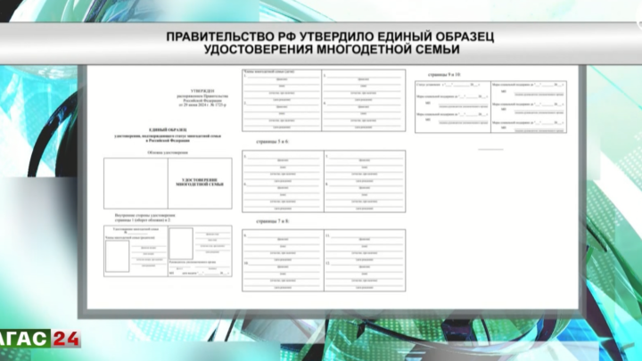 Правительство РФ утвердило единый образец удостоверения многодетной семьи.