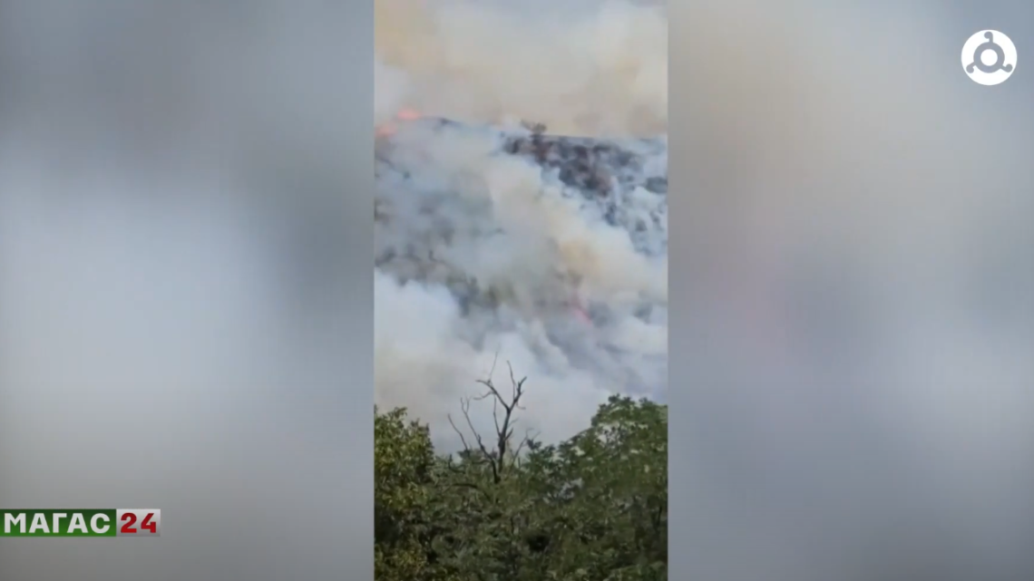 В Яндаре потушили пожар на площади 20 гектаров.